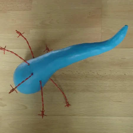 De Promenade Guest house Nieuwpoort